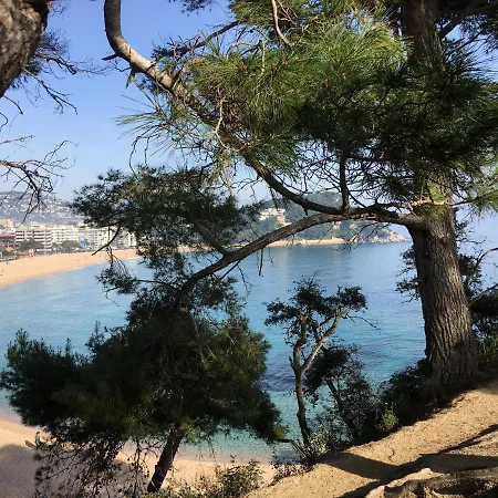 Vivalidays Kaylo - Fenals - Daire Lloret de Mar