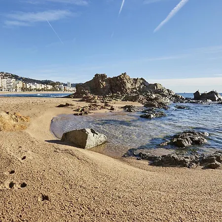 Vivalidays Kaylo - Fenals -